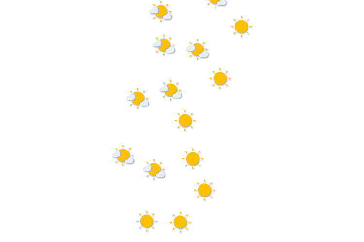 Forecast