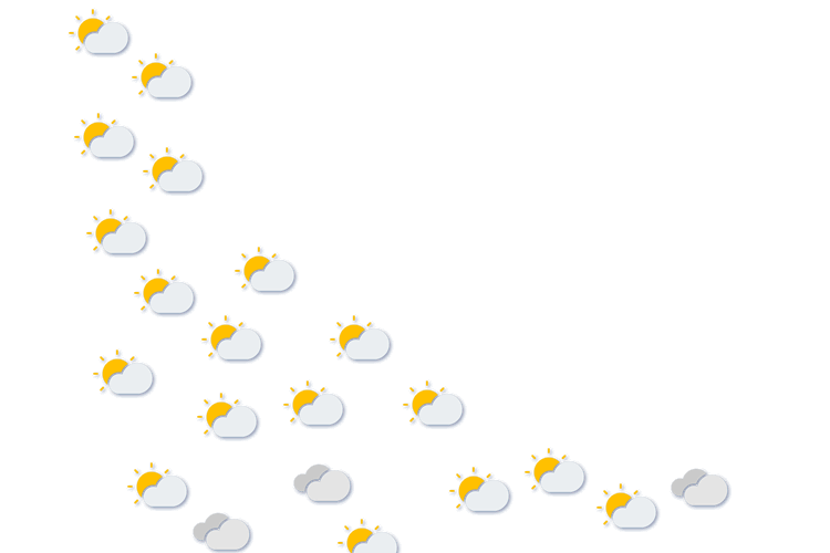 Forecast