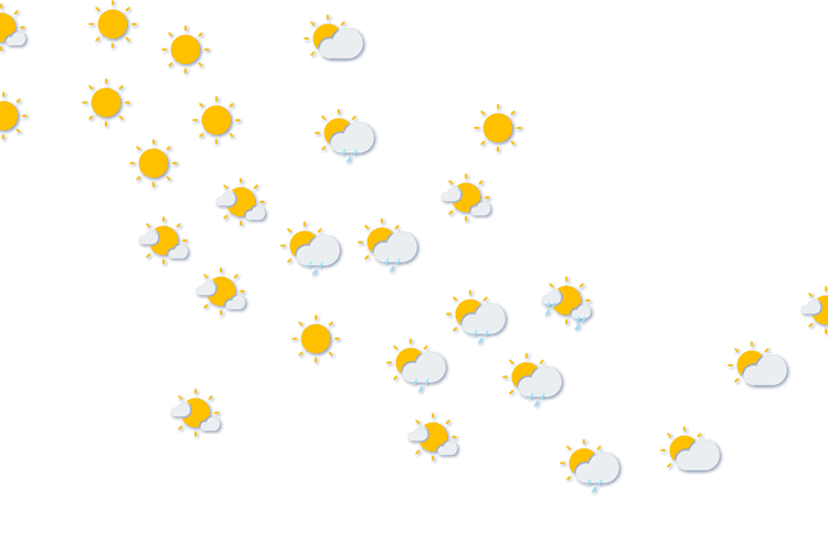 Forecast