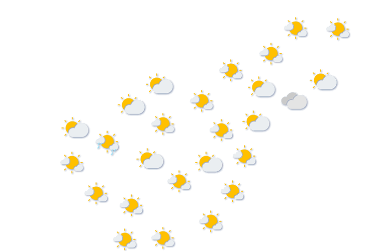 Forecast