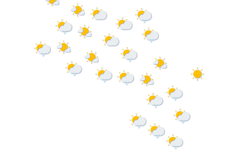 Forecast