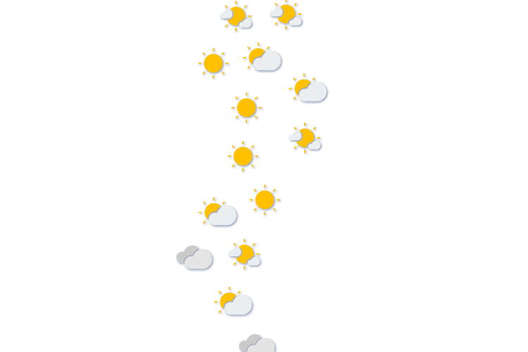 Forecast