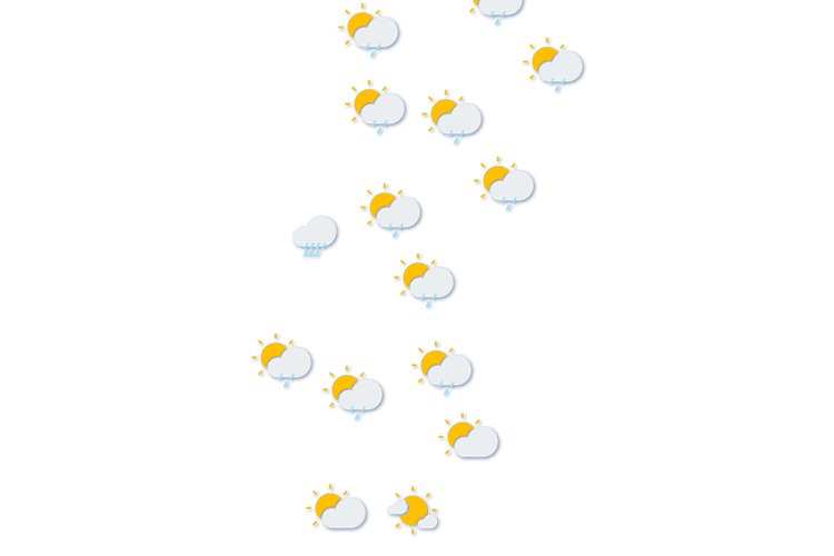Forecast
