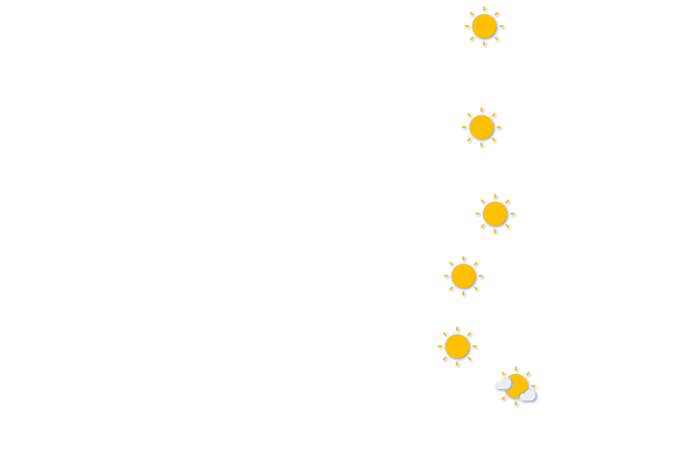 Forecast