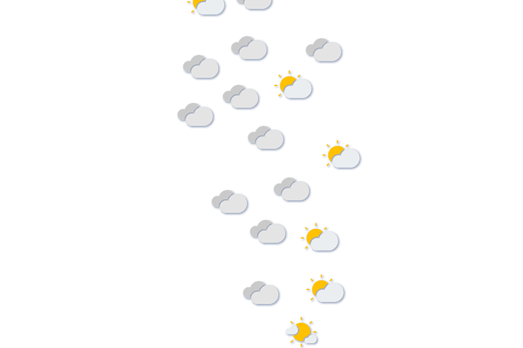 Forecast