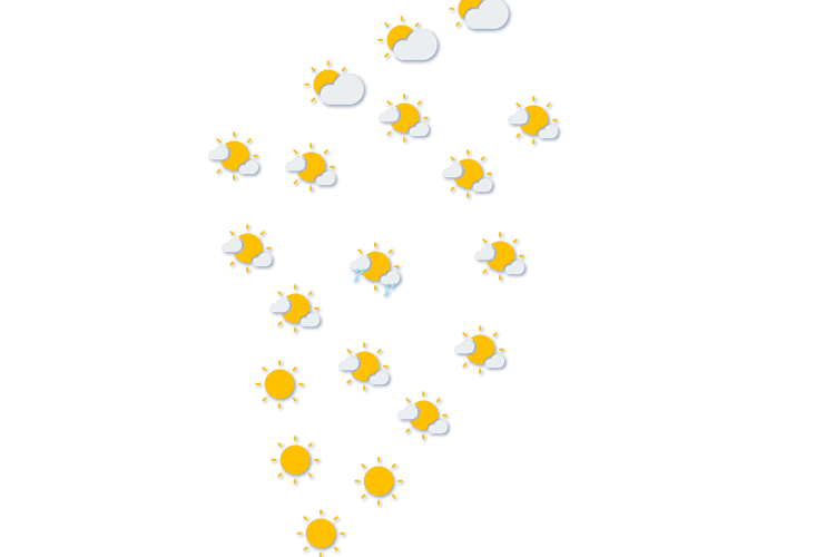 Forecast