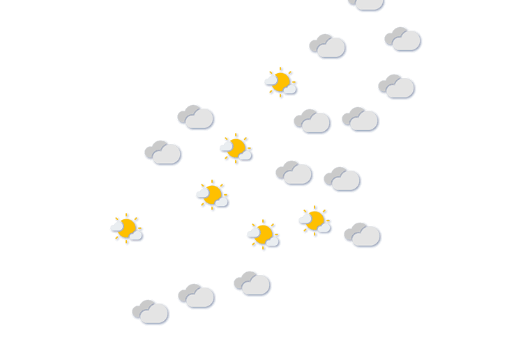 Forecast