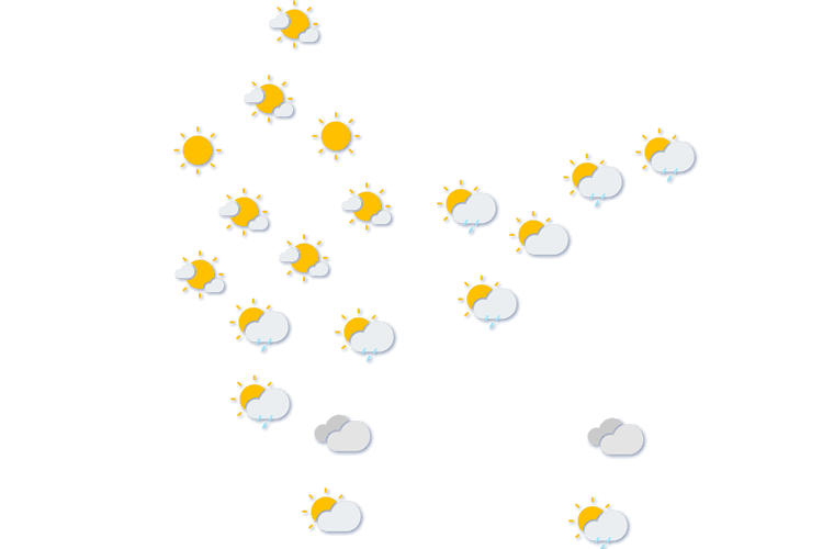 Forecast