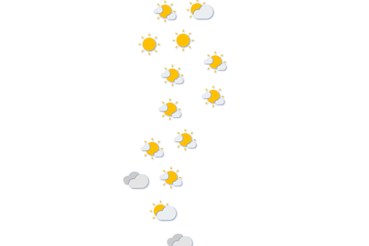 Forecast