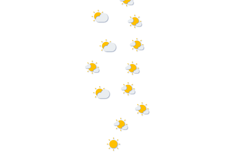 Forecast