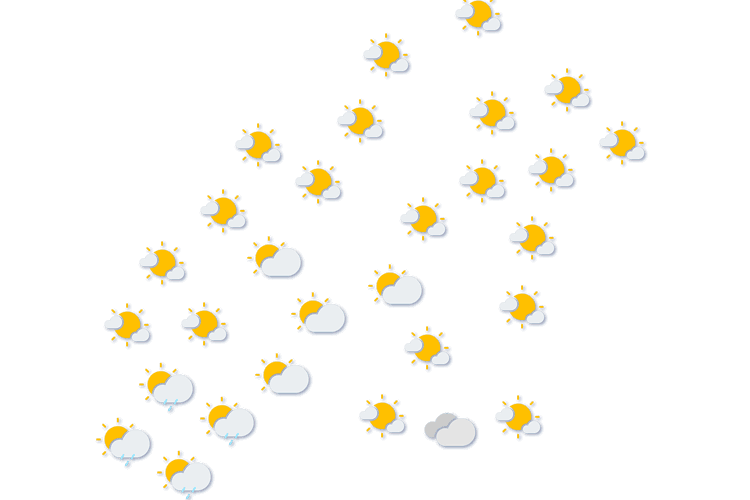 Forecast