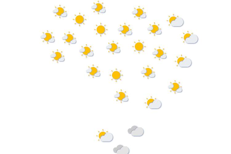 Forecast