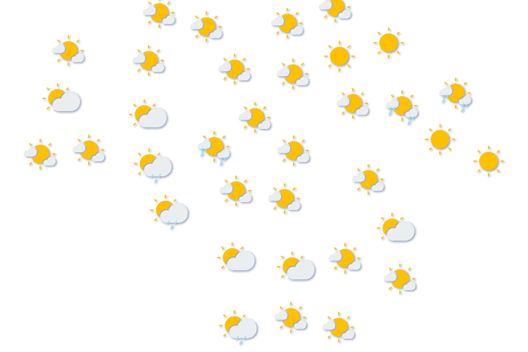 Forecast