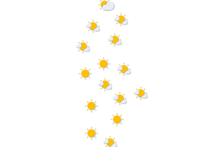 Forecast
