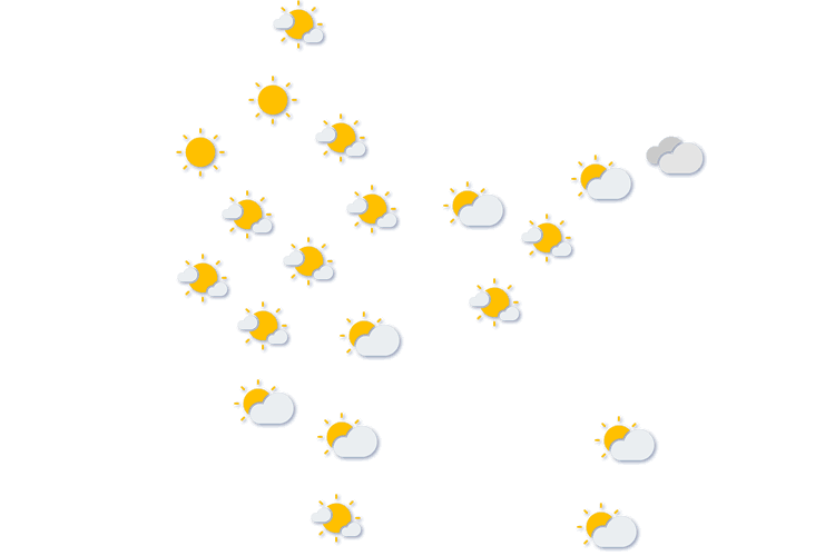 Forecast