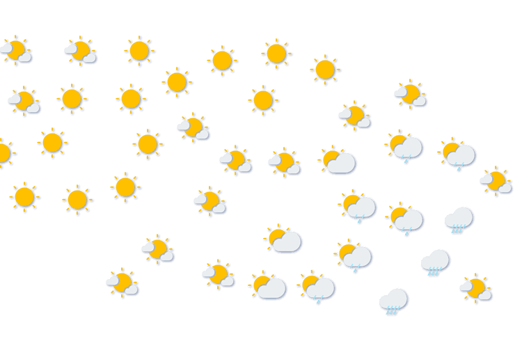 Forecast