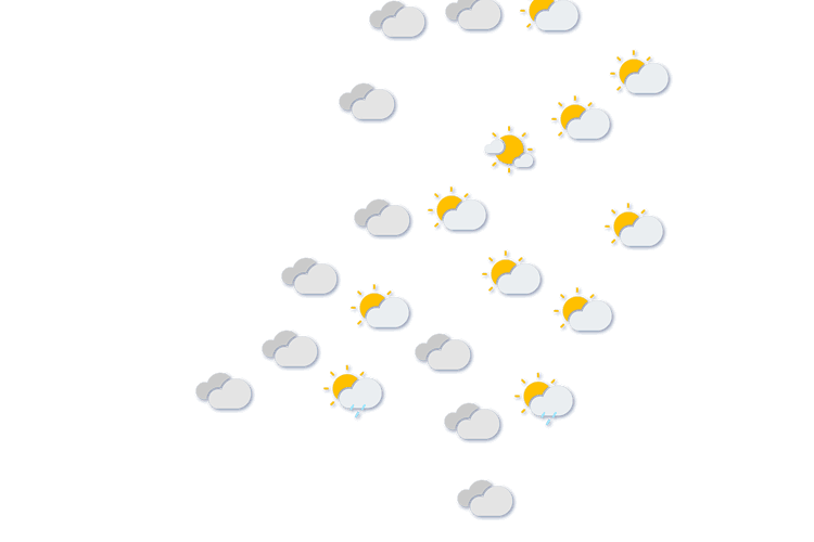 Forecast