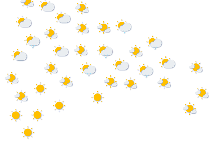 Forecast