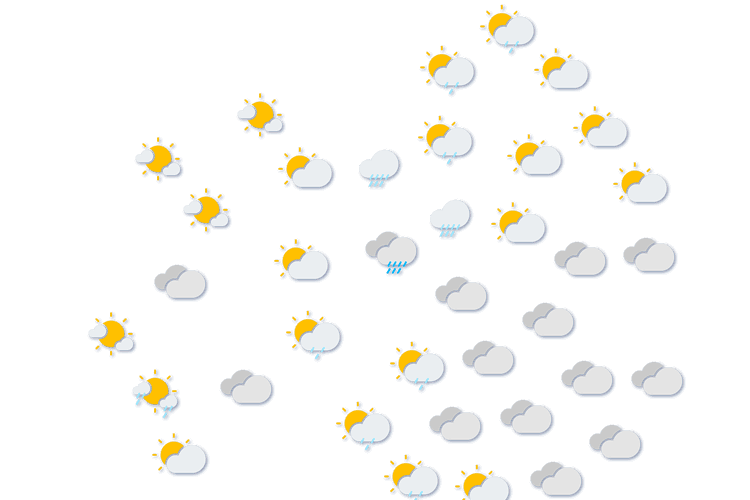 Forecast