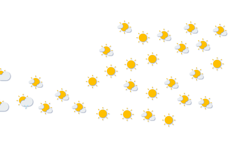 Forecast