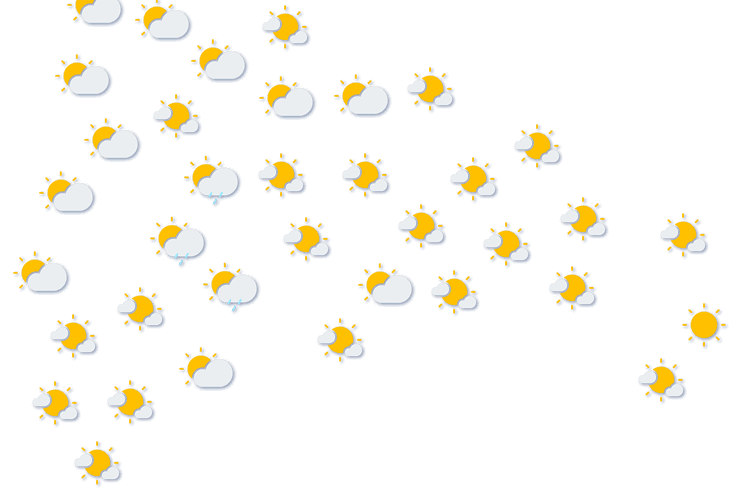 Forecast
