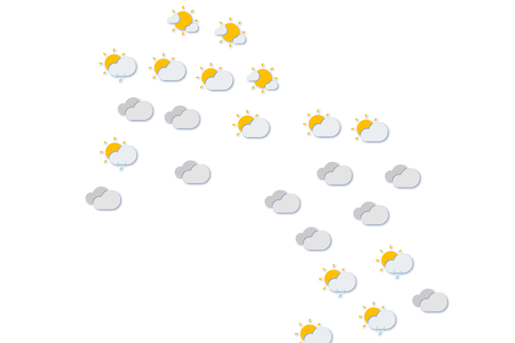 Forecast