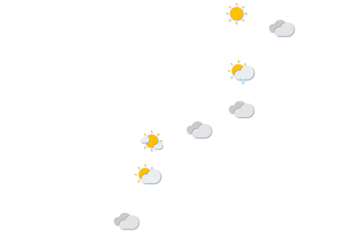 Forecast