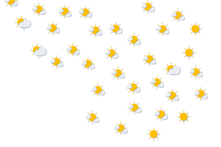 Forecast