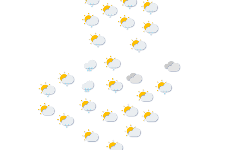 Forecast