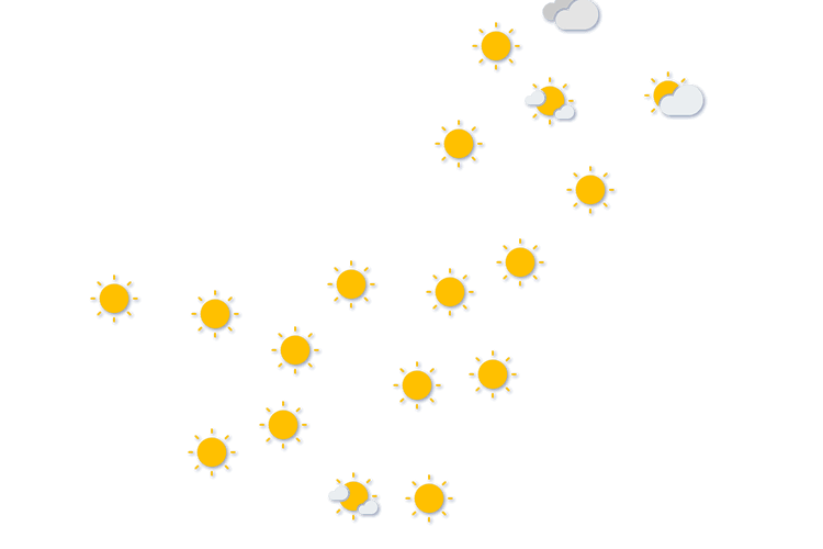 Forecast