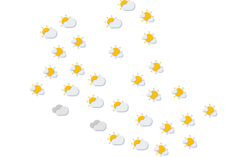 Forecast