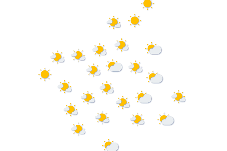 Forecast