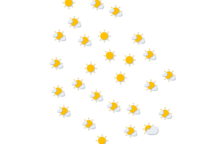 Forecast