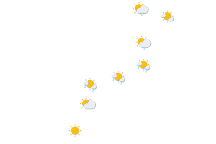 Forecast