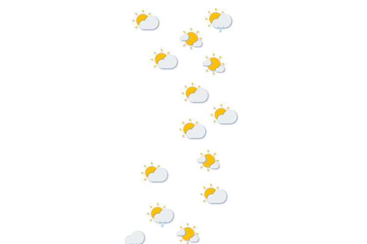 Forecast