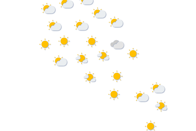 Forecast