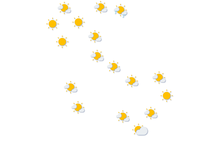 Forecast