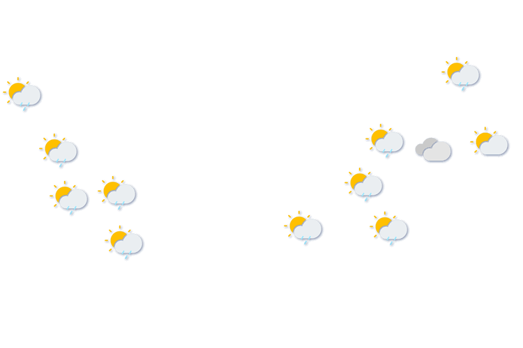Forecast