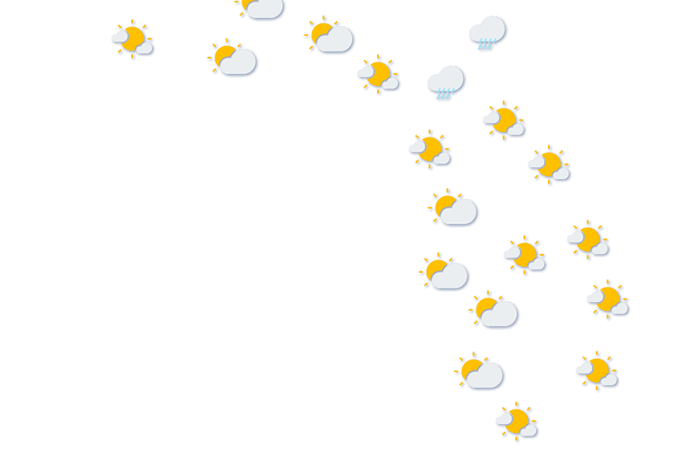 Forecast