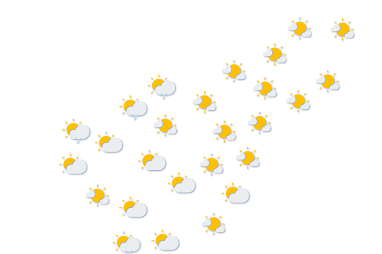 Forecast
