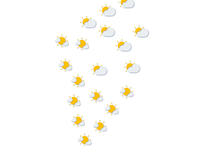 Forecast
