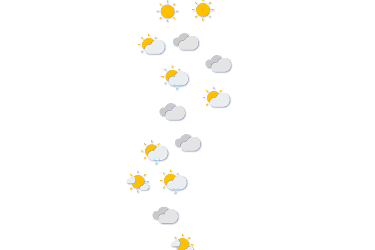 Forecast