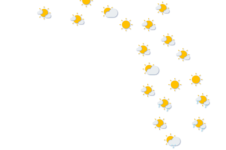 Forecast