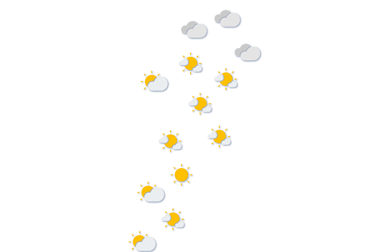 Forecast