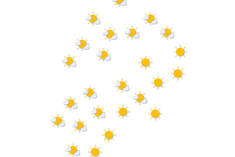 Forecast