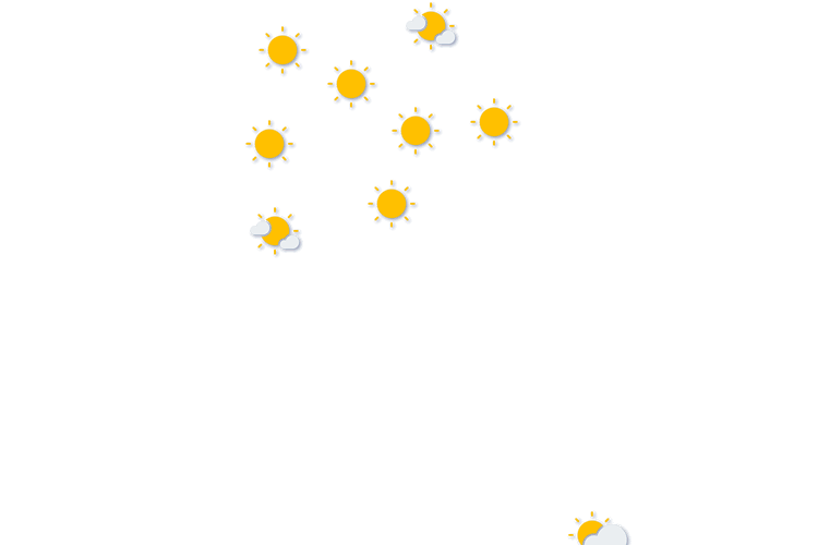 Forecast
