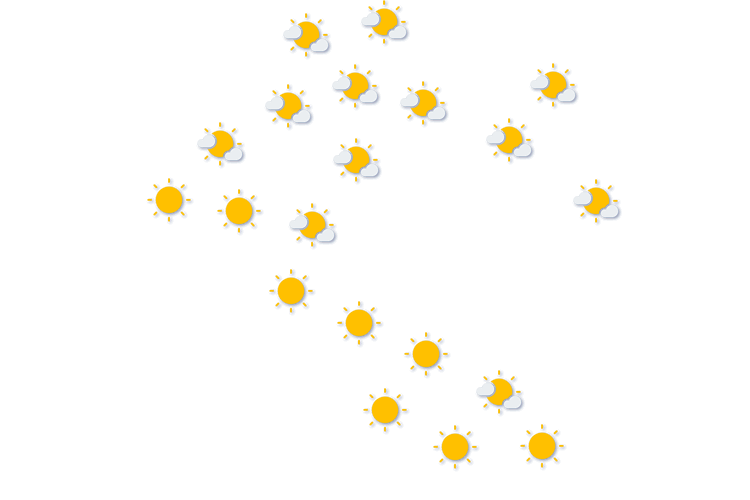 Forecast